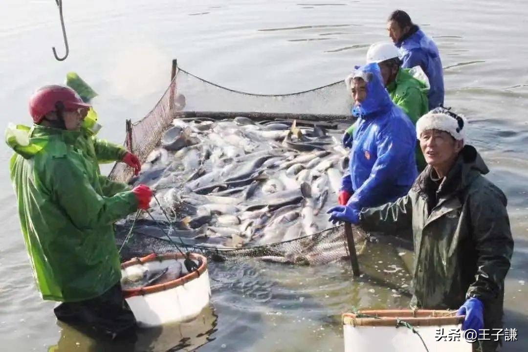 那些正在消失的地名,讲一些关于无锡的有趣的地名