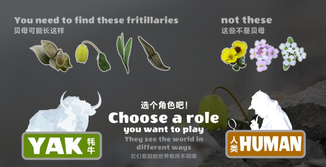 号召网友一起来玩“找茬游戏”，研究结果发了篇顶级论文