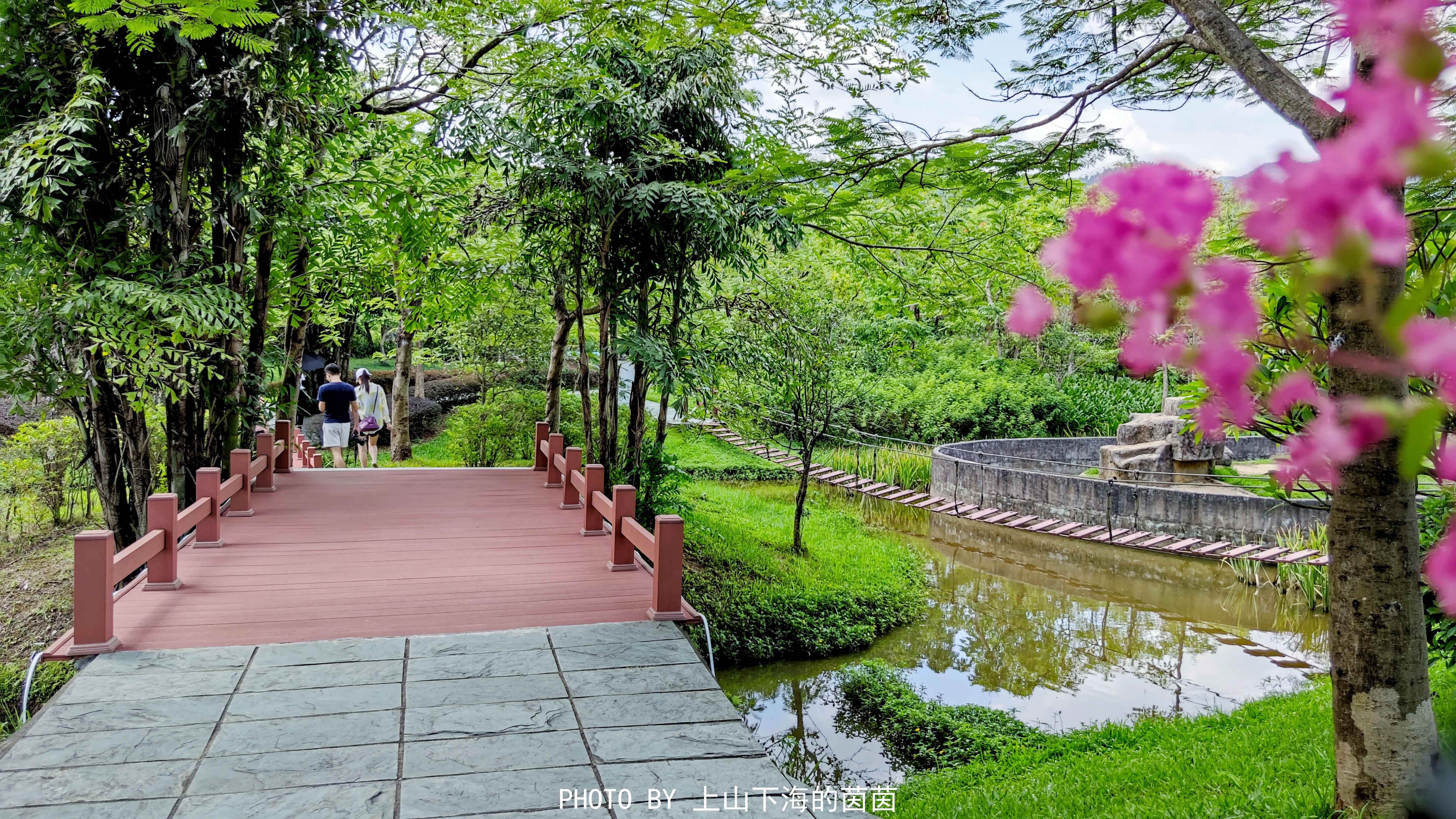 清远市佛冈森波拉度假区,佛冈森波拉度假森林免费攻略