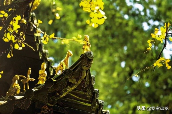 金殿的来历简介,金殿的前世今生