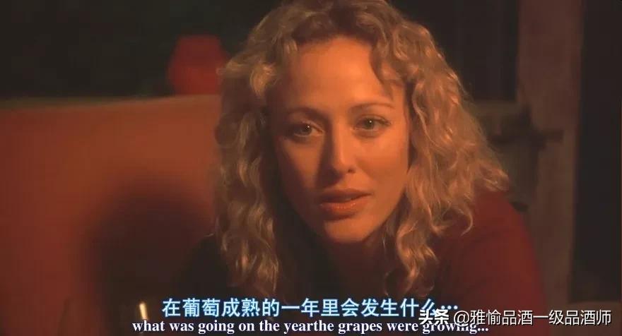 如何品葡萄酒感觉高级,葡萄酒怎么品