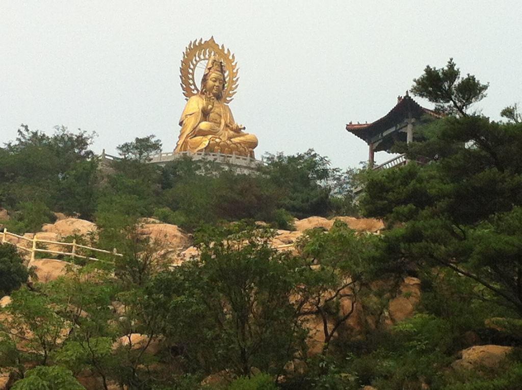 山东省17市车牌排名,山东十七地市机动车车牌号代码