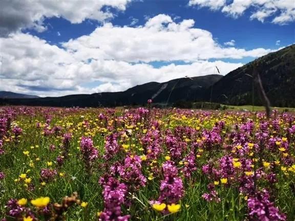 8月格聂c线,8月走格聂南线穿什么