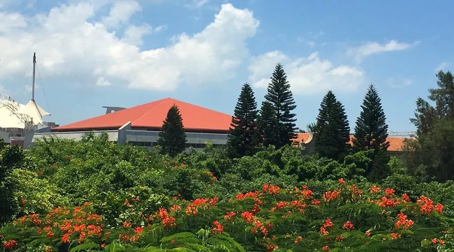 这10个冷门专业正开始变热门,这十大冷门专业能月薪过万