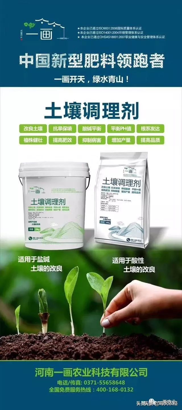 践行绿水青山就是金山银山,践行绿水青山就是金山银山的案例