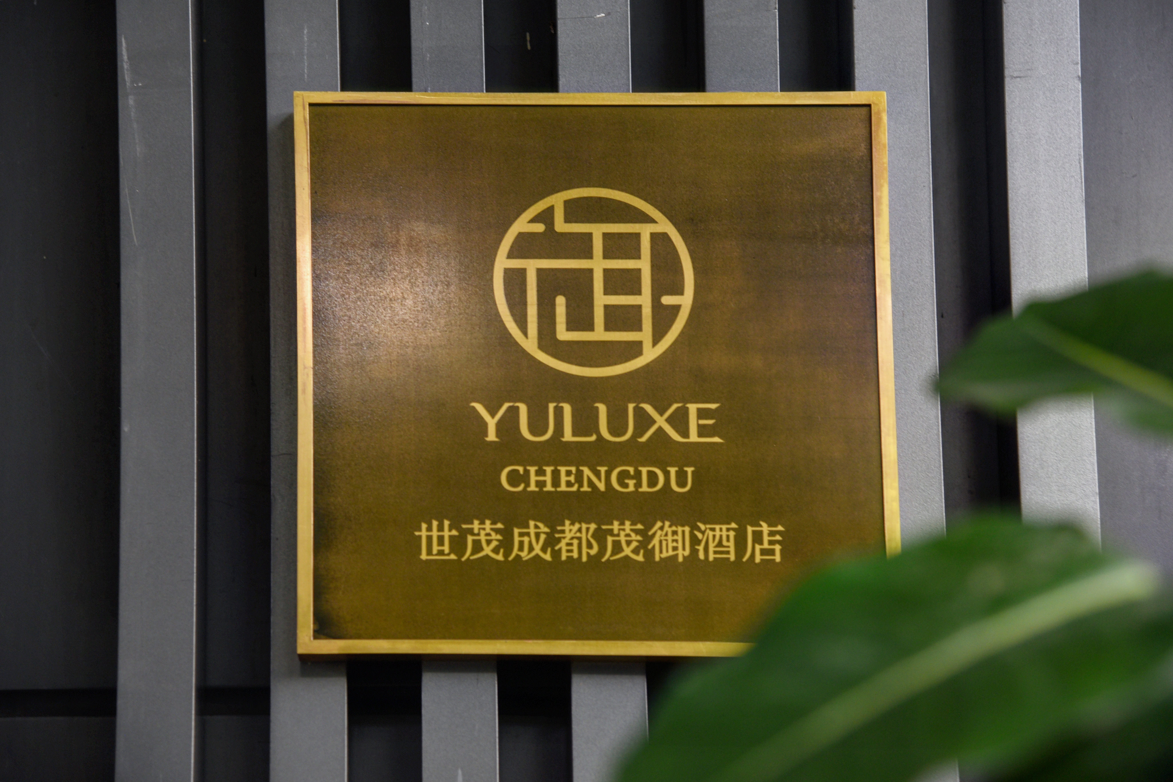 2天一夜带娃好去处成都,2天2夜成都攻略