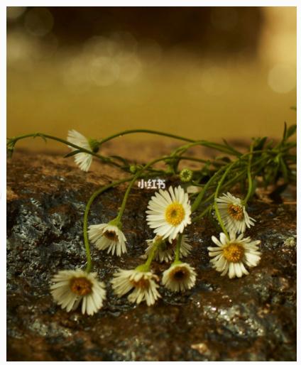 迪奥香水和古驰香水哪个好,古驰罪爱男士香水哪款好闻