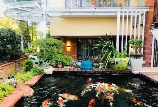 庭院锦鲤鱼池过滤改造,小院锦鲤鱼池建造过程