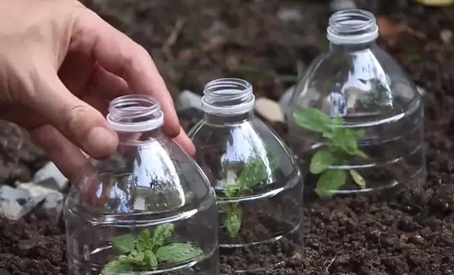 塑料瓶的多种妙用，非常实用（含教程）