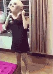 搞笑gif一看就是聪明人,搞笑gif趣图果然是亲生的笑死我了