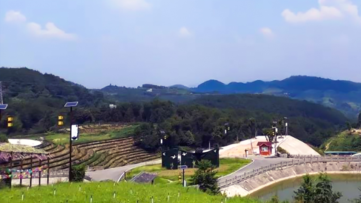 四川旅游踩坑的地方,贵州旅游踩坑