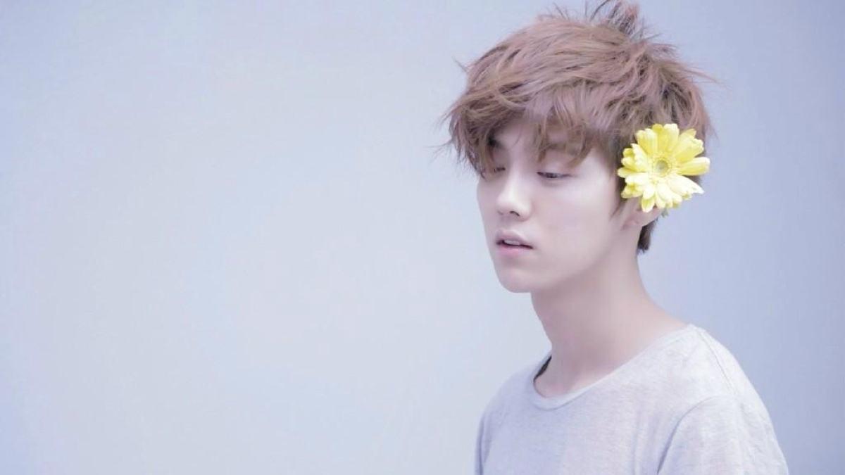 鹿晗表情包是什么梗,鹿晗图片表情包