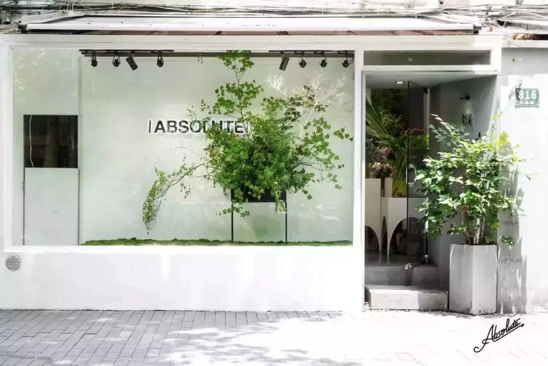 在花园里和鲜花为伴,在花店与鲜花为伴