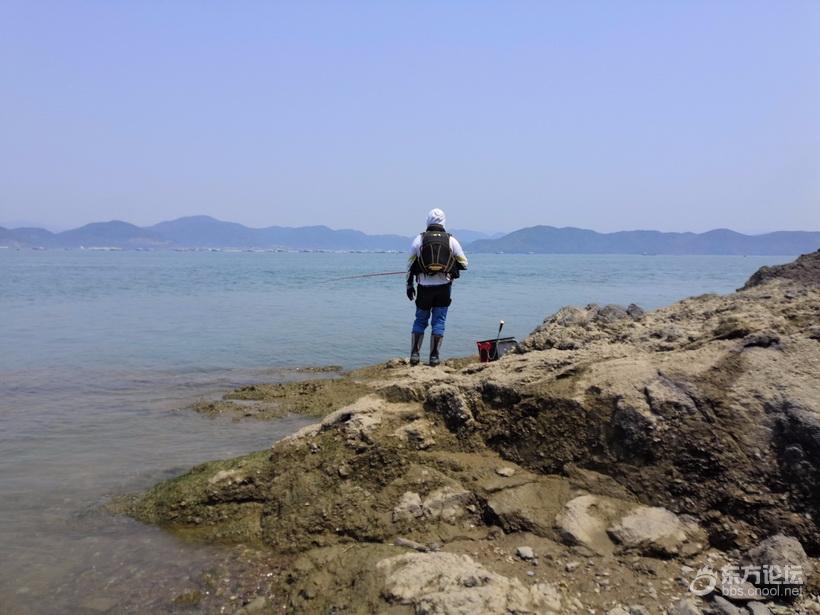 奉化海鲜自助餐有没有帝王蟹,奉化海鲜餐推荐