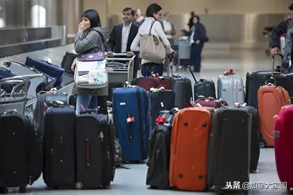 18岁中国小伙从加拿大带了两箱*麻大**回国，机场被抓，面临死刑！