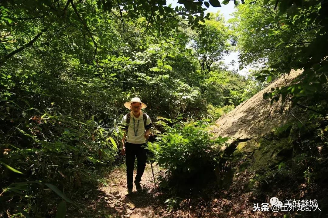 舒城县五显镇石关风景区,舒城石关风景游玩攻略