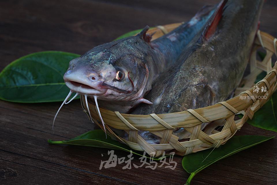 身上有好多刺的海鱼有毒的,背上有毒刺的鱼