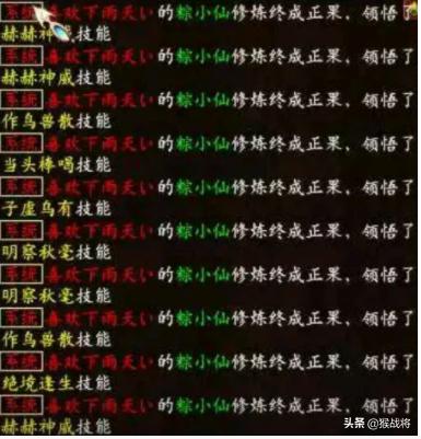 大话西游二的粽小仙有什么特点,大话西游2免费版粽小仙值得练吗