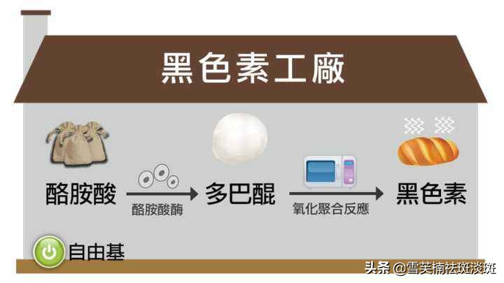 自己祛斑怎么祛斑效果好,祛斑方法教你如何祛斑最快最有效