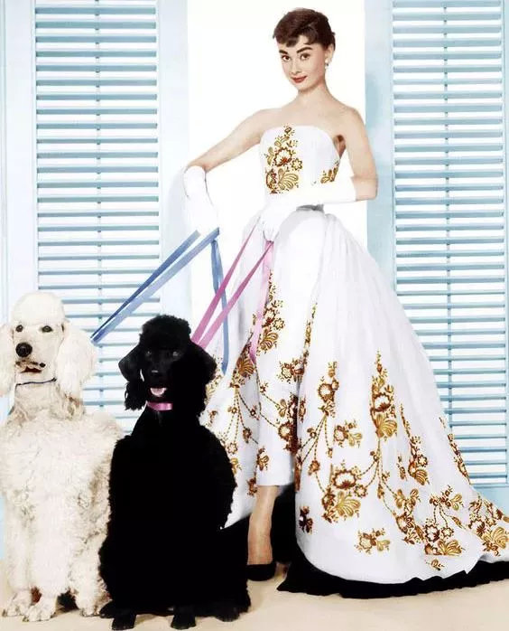 十大女装品牌排行榜前十名,2022奢侈品牌女装秀场