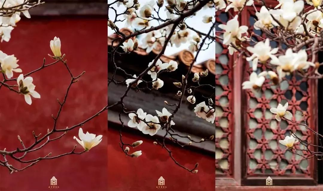 故宫流行色,上新了故宫第三季文创衣服产品