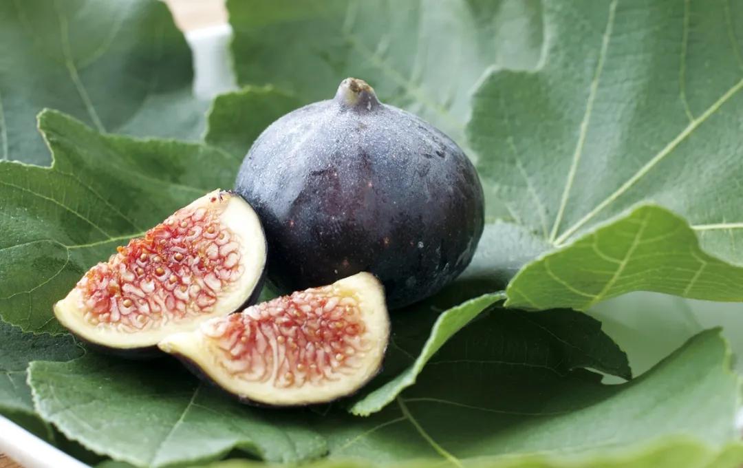 无花果真的不开花就长果实吗,无花果是真的没有开花就结果吗
