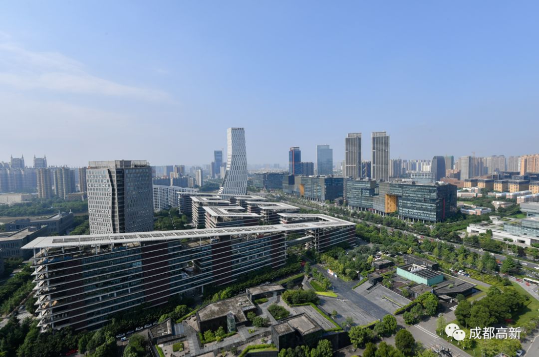 来！跟小高一起打卡2019年成马赛道网红点