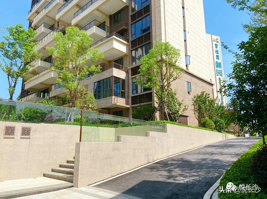 坚挺！高铁西限价首次破万！7字头现房大平层，踩在风口上