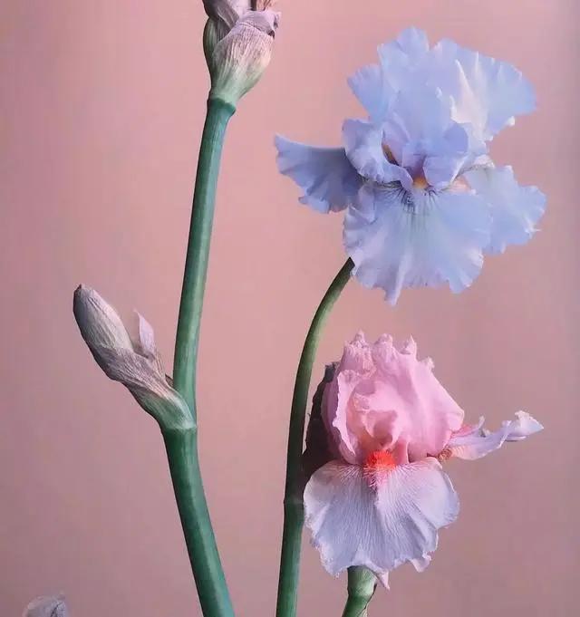 9平米花店,有4间铺面开花店怎样设计