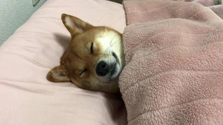 买switch还要买什么配件,switch配件选购