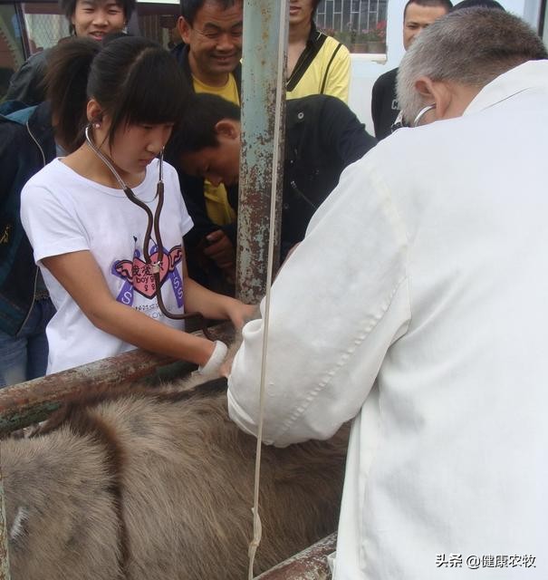 兽医和人医哪个更难学,为什么说兽医的意义大于人医