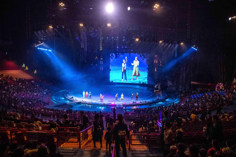 玩转广州长隆野生动物世界之行,广州长隆动物世界游玩攻略图