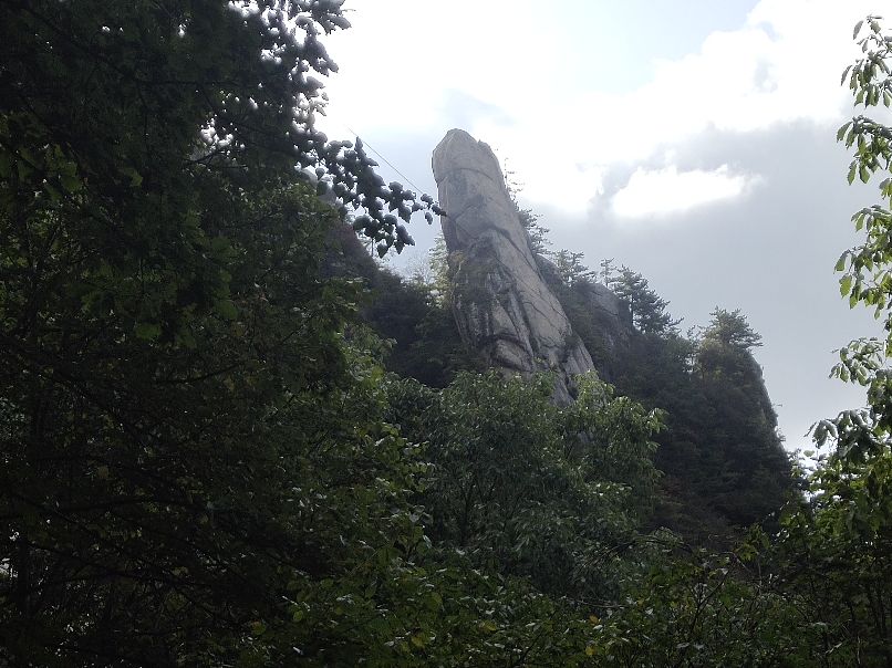 短期焦点治疗技术培训,焦点解决短期治疗优缺点