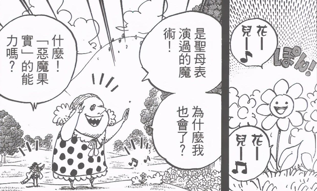 剧情分析海贼王,海贼王剧情解析最新