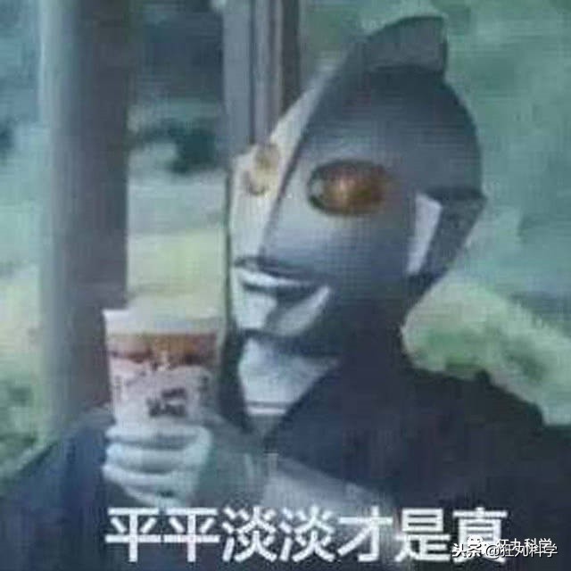 年度沙雕新闻合集,沙雕新闻播报合集