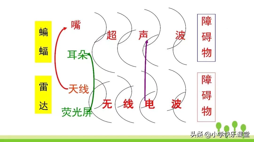 四年级上册语文蝙蝠和雷达课后题,部编版四年级上册语文蝙蝠和雷达