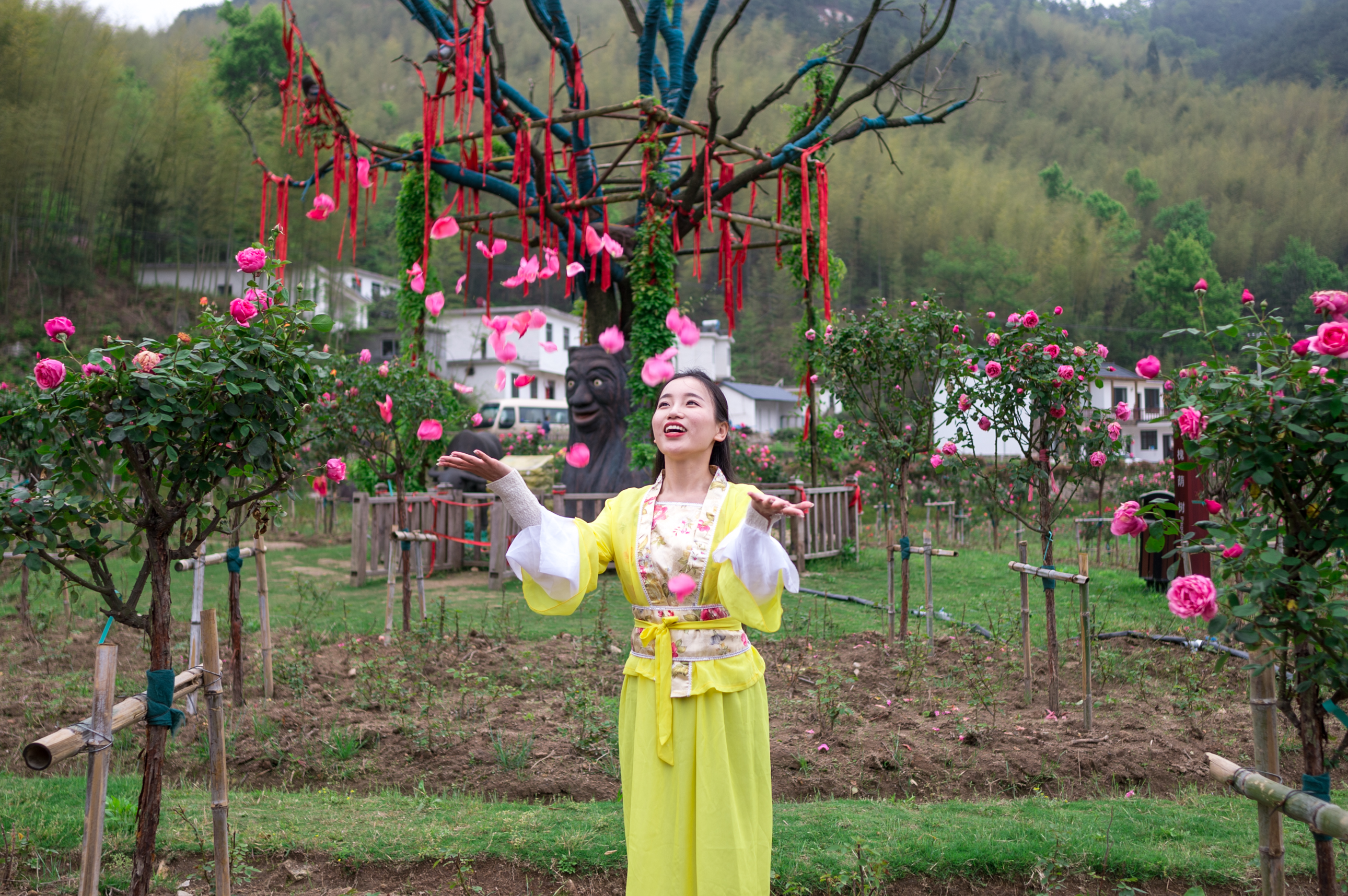 天柱天仙峡,天柱山天仙峡风景图