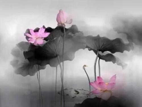 潘金莲花之月表达什么情感,恨锁金瓶潘金莲