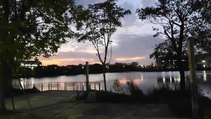 泰州学院和贵州师范大学,四十六所高校