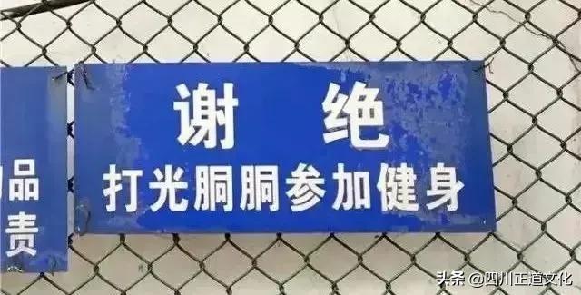 趣谈人的智慧,趣谈重庆