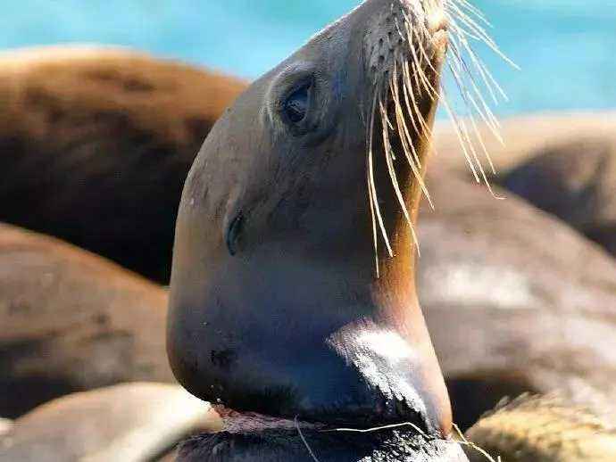 地球生病了，没有人知道，明天等待我们的又是什么