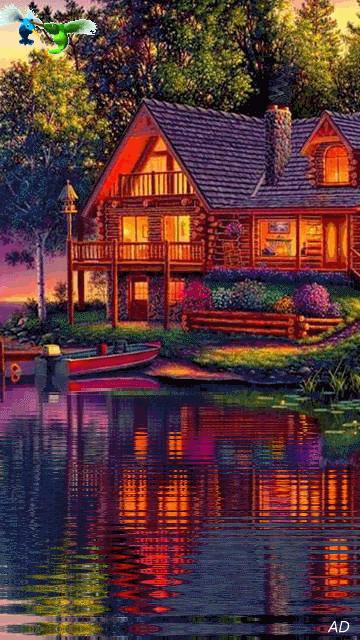 神秘的水中花,趣味神奇的水中花