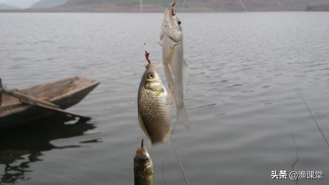 野钓鲫鱼怎么抛竿抛得准,钓了十几年的鱼还是第一次钓鱼