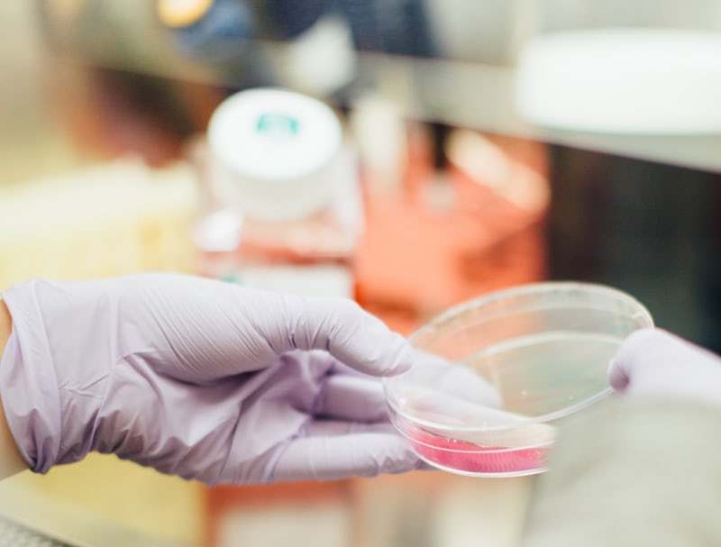 干扰素与口服药治乙肝的效果比较,干扰素治疗联合抗病毒乙肝成功率