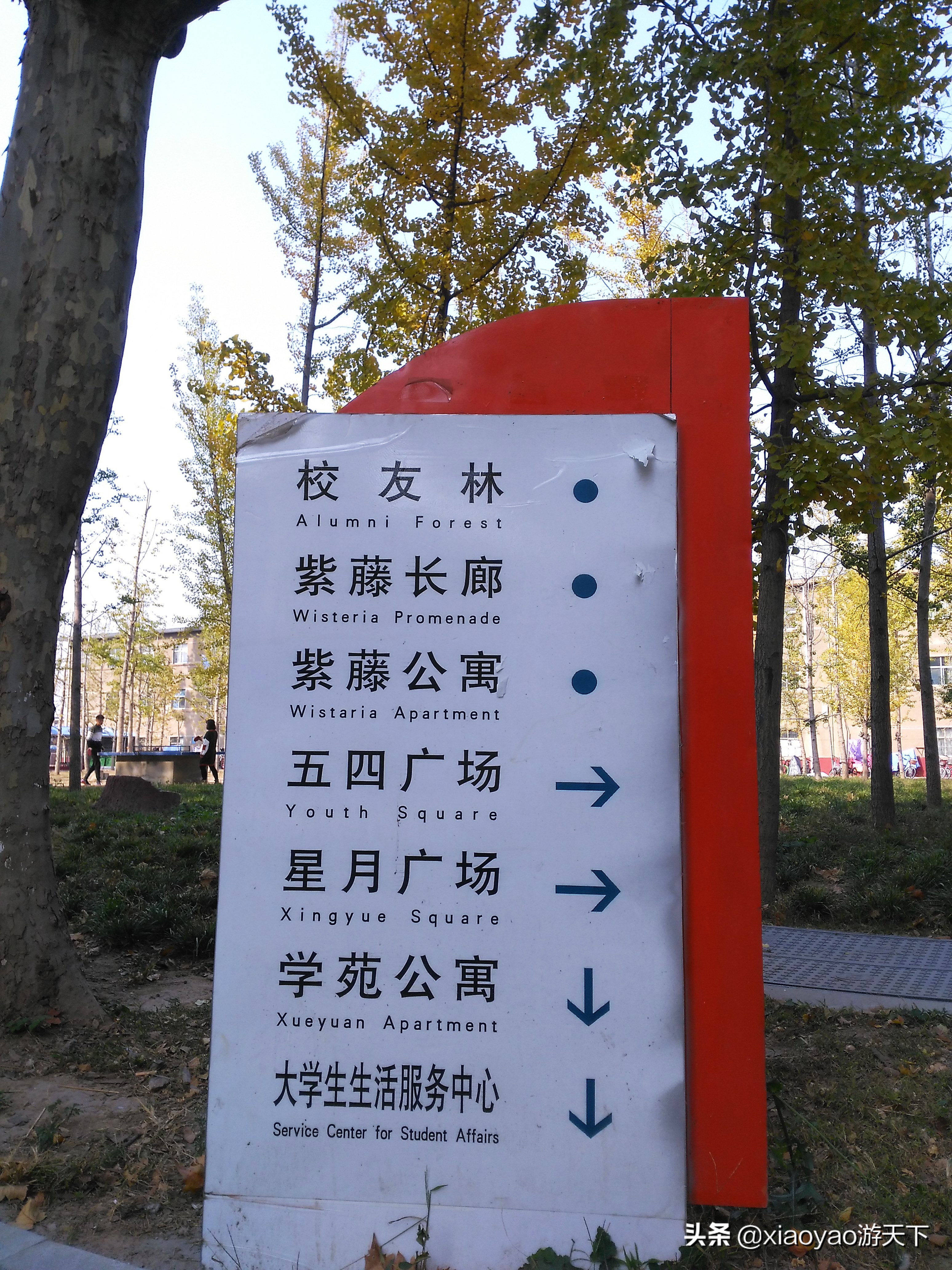 最美大学之旅——江北水城第一学府聊城大学