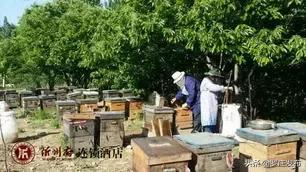 罗庄这家企业被评为“临沂老字号”！他家的牌子你都吃过用过吗？