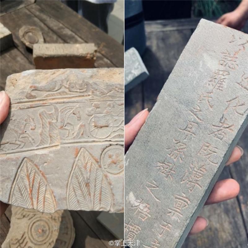 滨海生态城动物园,塘沽5块钱动物园