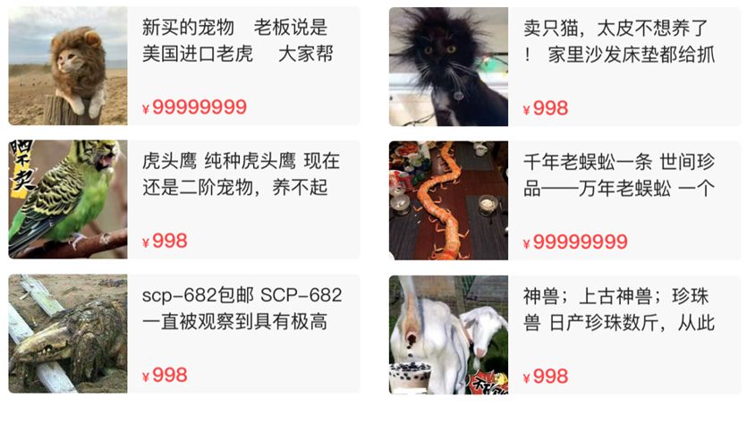 闲鱼卖神兽系列,闲鱼卖神兽的视频