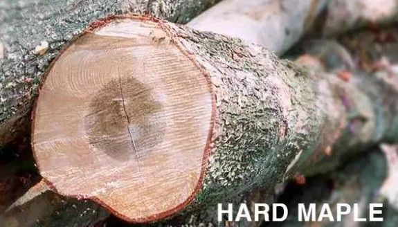 滑板新手买哪种滑板好一些,是小鱼型滑板好还是双翘型滑板好