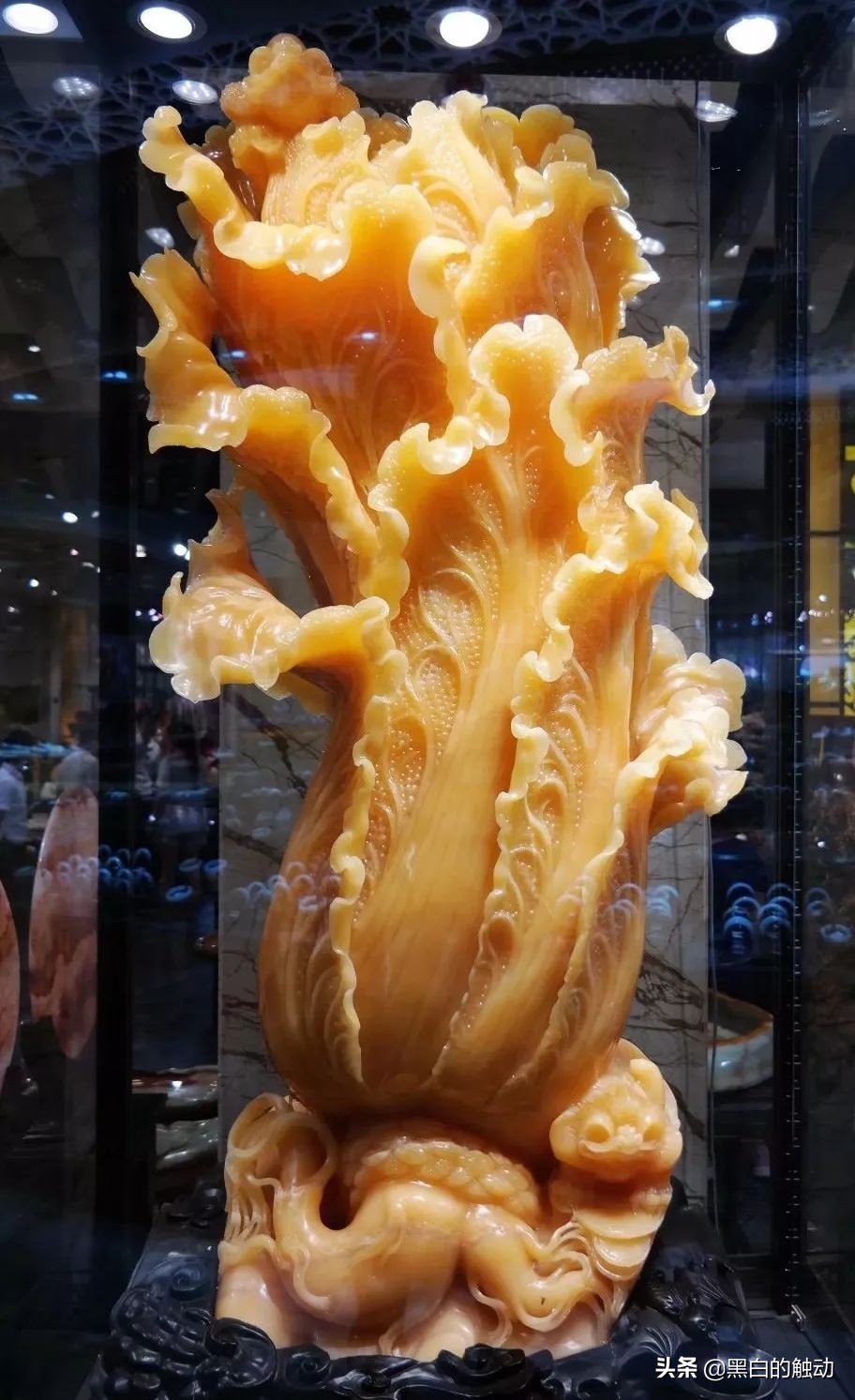 都说新疆好去新疆发展可靠么,都说新疆好地方